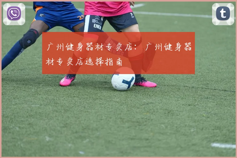 广州健身器材专卖店：广州健身器材专卖店选择指南