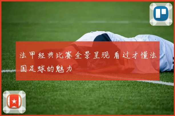 法甲经典比赛全景呈现 看过才懂法国足球的魅力