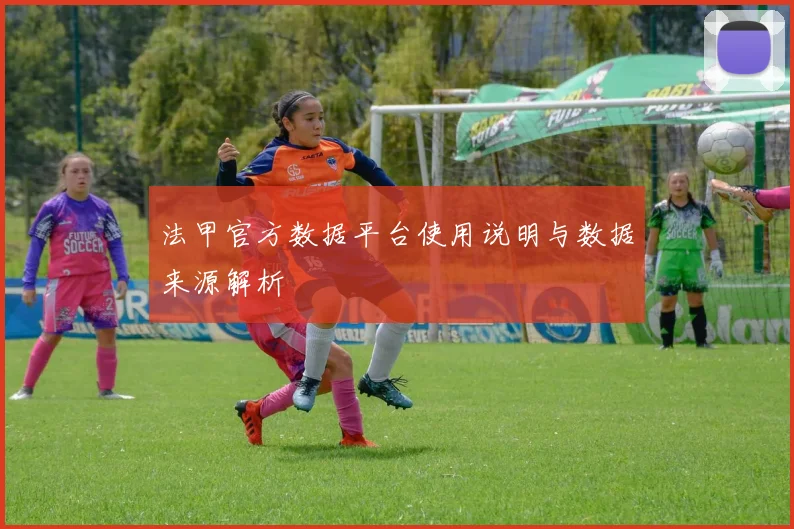 法甲官方数据平台使用说明与数据来源解析