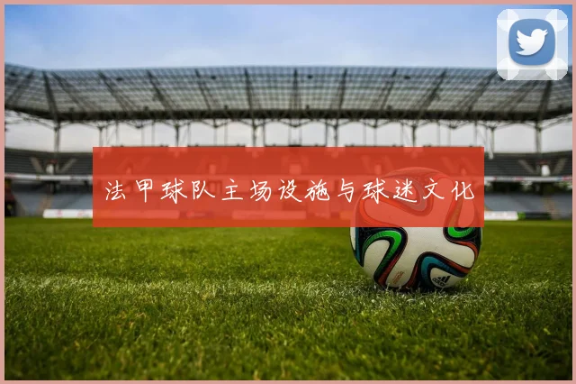 法甲球队主场设施与球迷文化