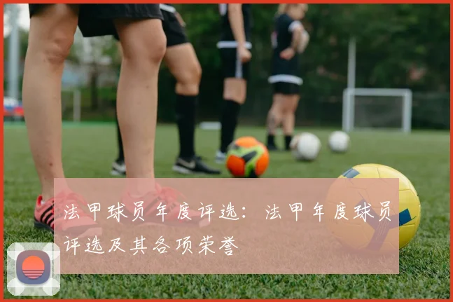 法甲球员年度评选：法甲年度球员评选及其各项荣誉