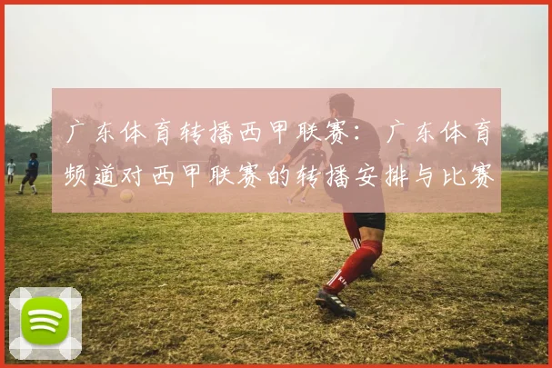 广东体育转播西甲联赛：广东体育频道对西甲联赛的转播安排与比赛总结